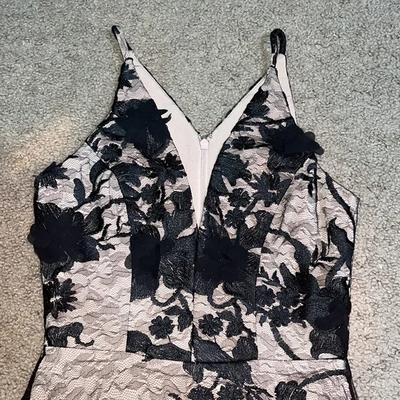 Dress the Population Audrey‎ Sheer Floral Overlay A-Line Sleeveless V-Neck XS